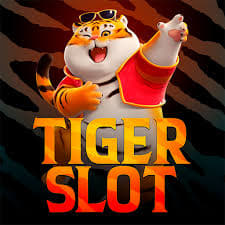 plataforma bet tigre - Slots Casino ícone